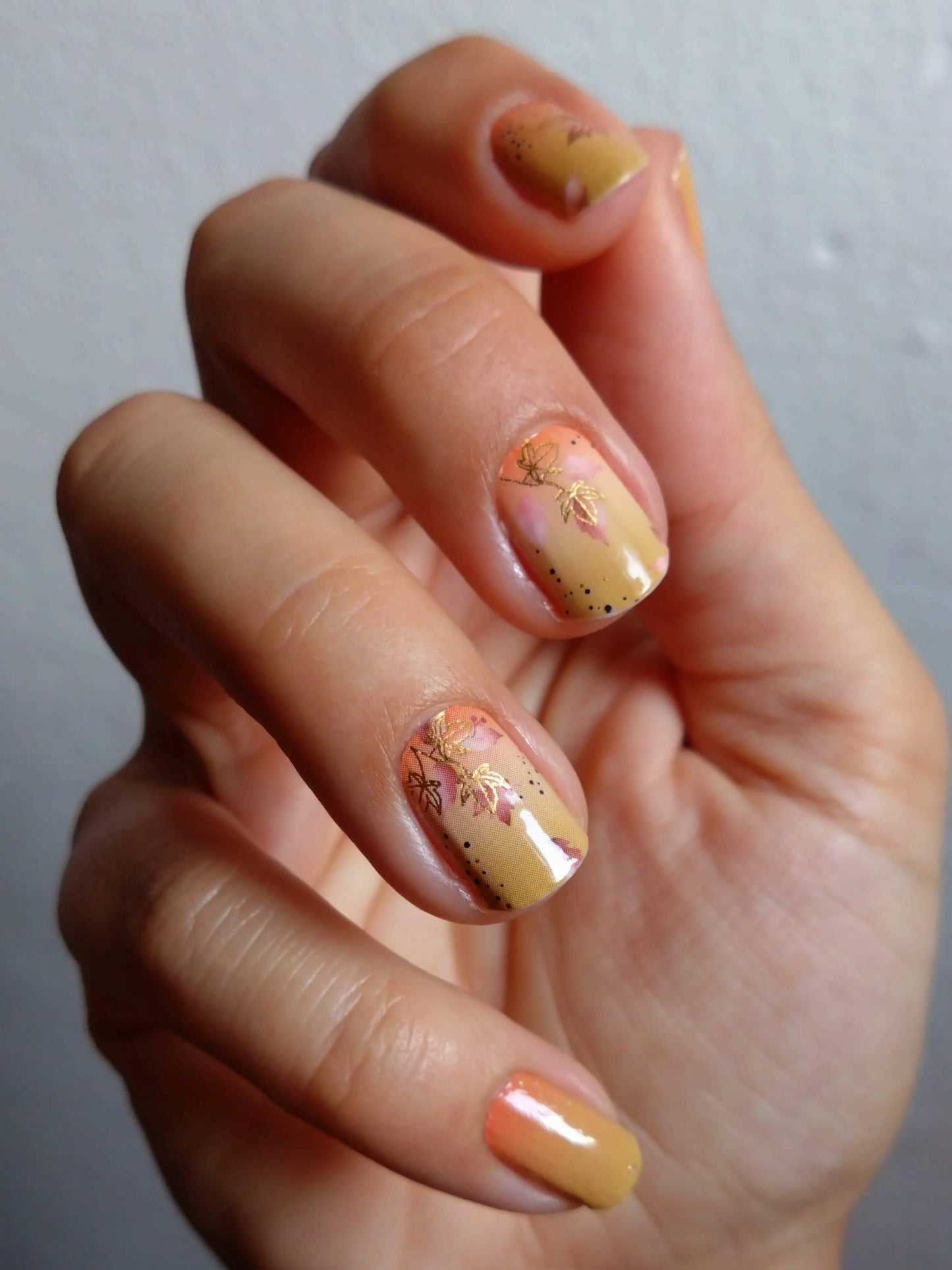 Exclusive - Dhora S6820 -  LIMITED!