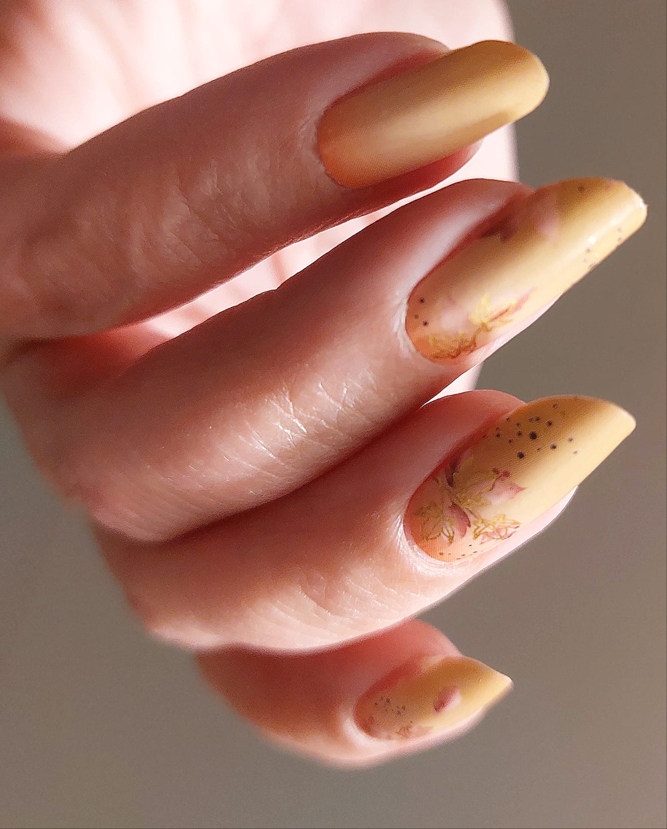 Exclusive - Dhora S6820 -  LIMITED!