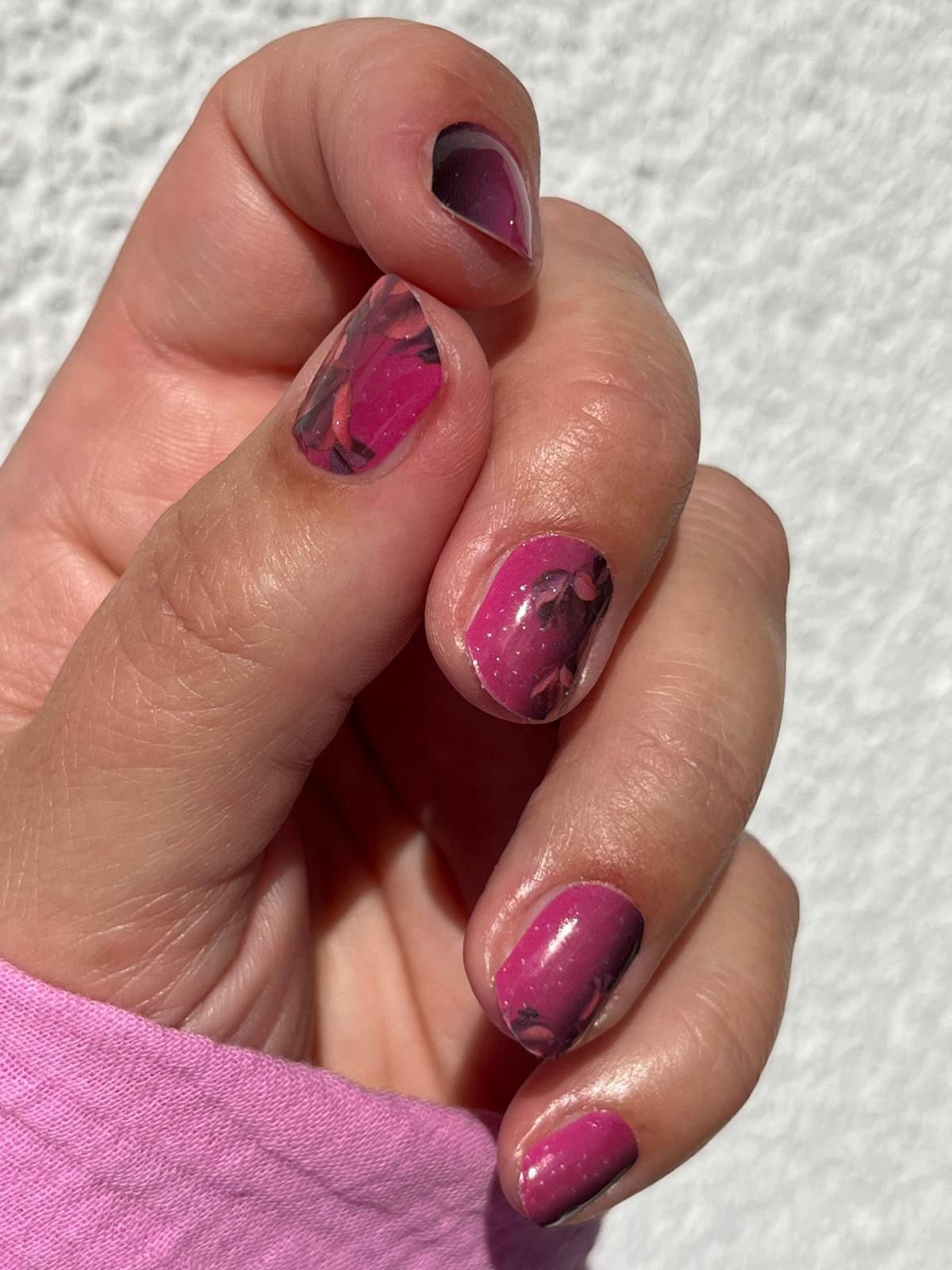 Exclusive - Hampton Harvest S6777 -  LIMITED!