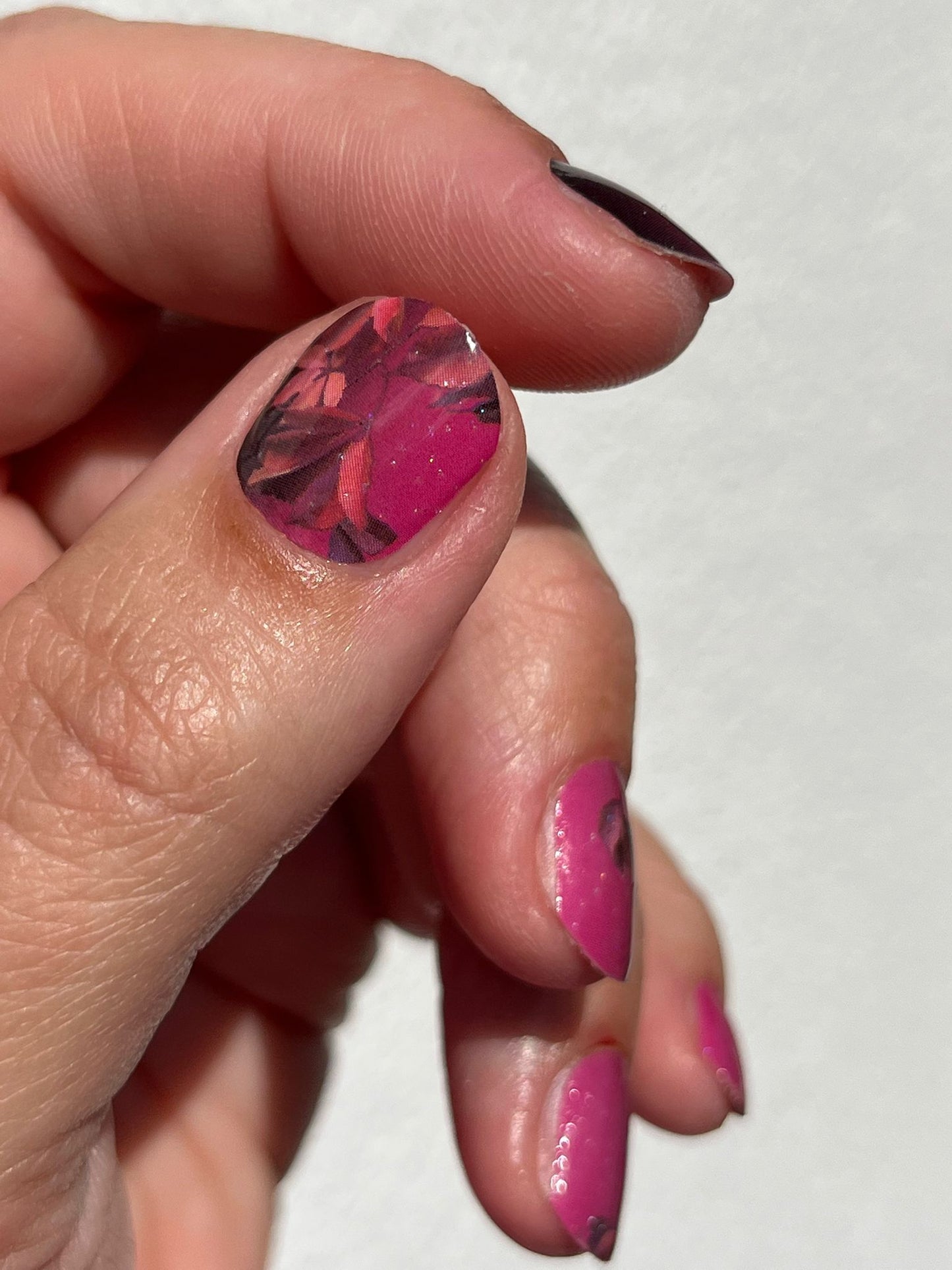 Exclusive - Hampton Harvest S6777 -  LIMITED!