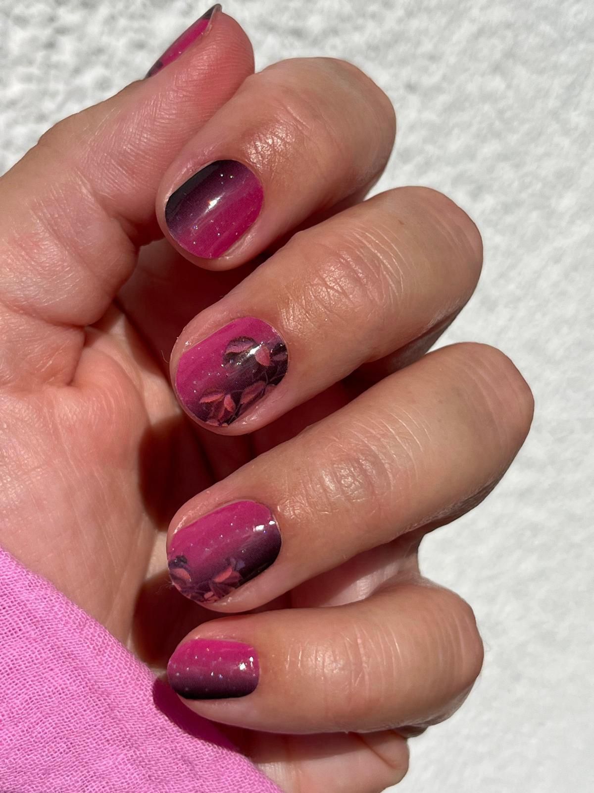 Exclusive - Hampton Harvest S6777 -  LIMITED!