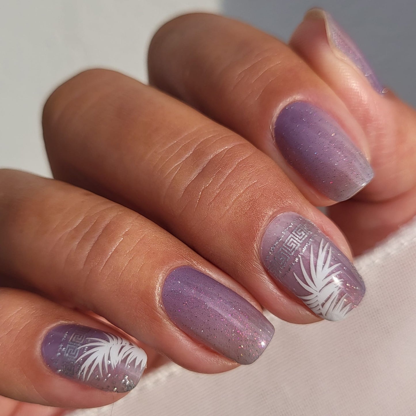 Exclusive - Argia (transparent) S6779 - LIMITED!