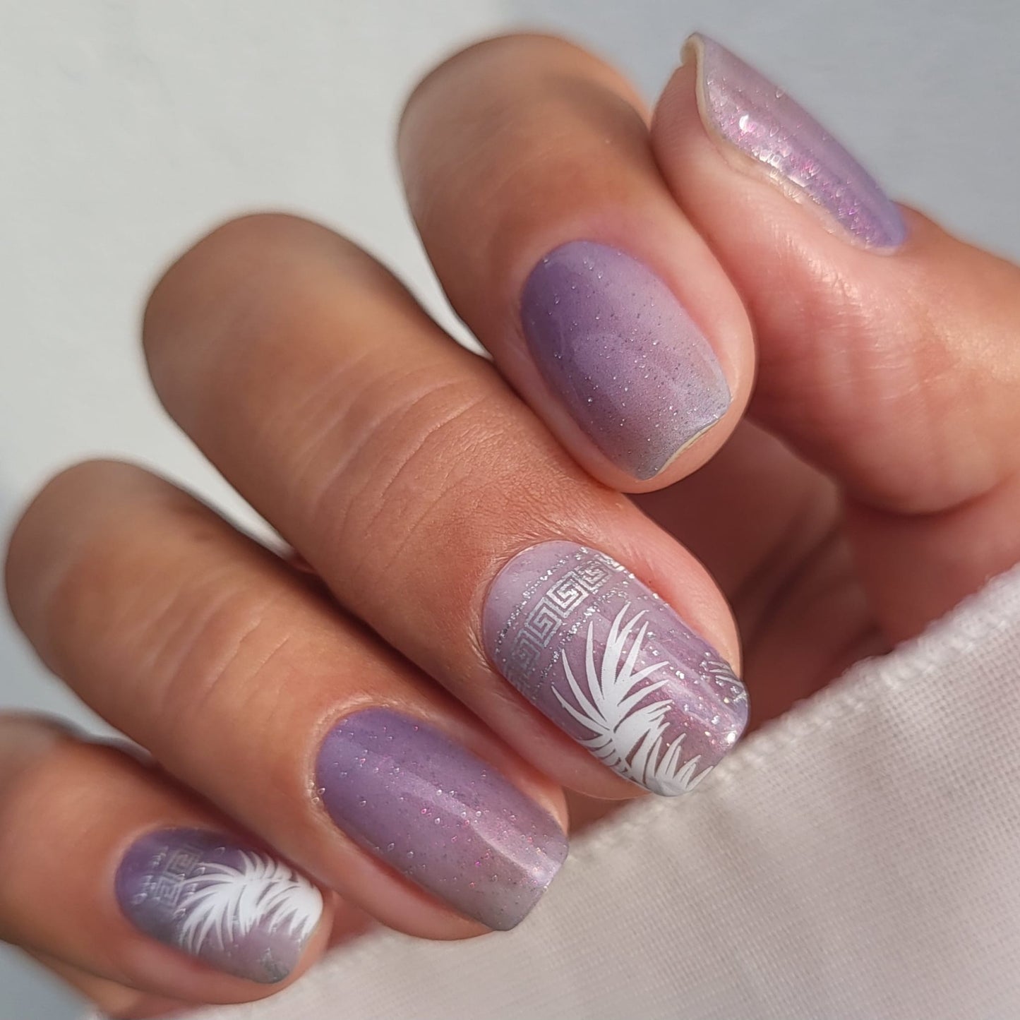 Exclusive - Argia (transparent) S6779 - LIMITED!