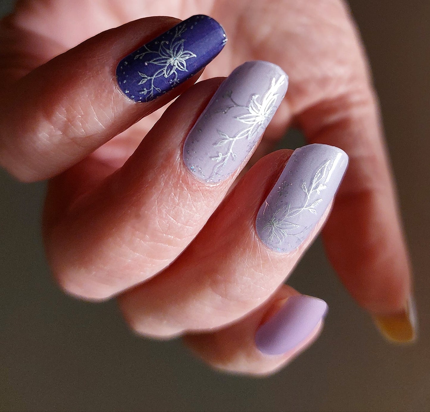 Exclusive - Cynthia (transparent) S6714 -  LIMITED!