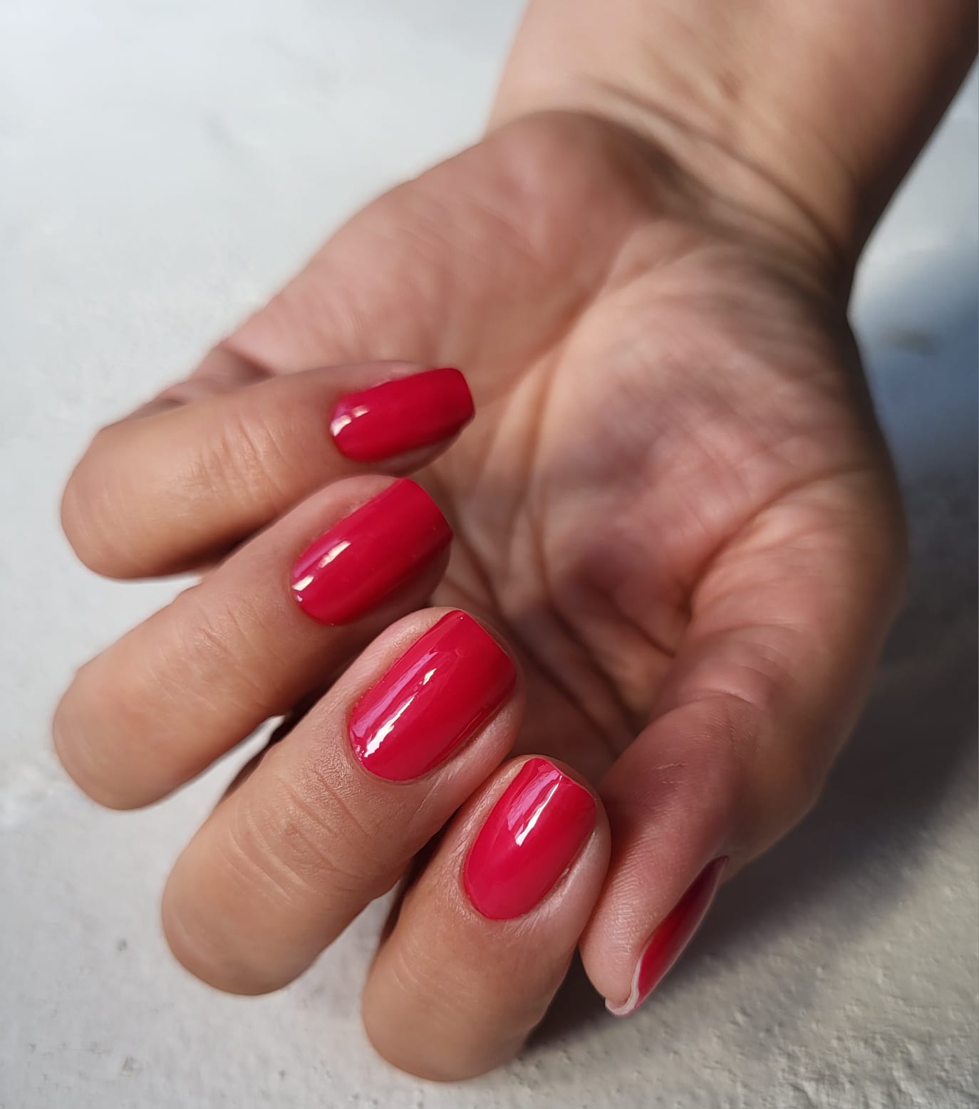 Exclusive - Erica X6718 - LIMITED - 2x14 Stück