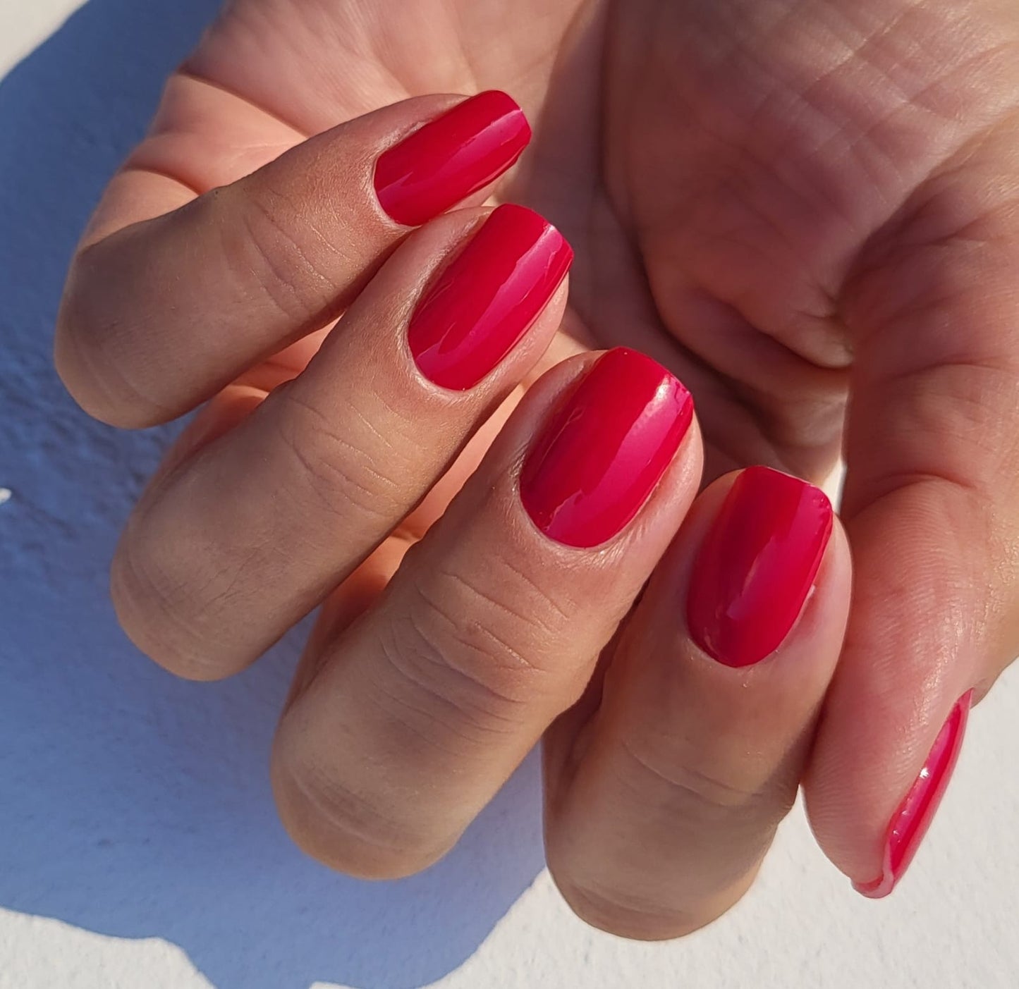 Exclusive - Erica X6718 - LIMITED - 2x14 Stück