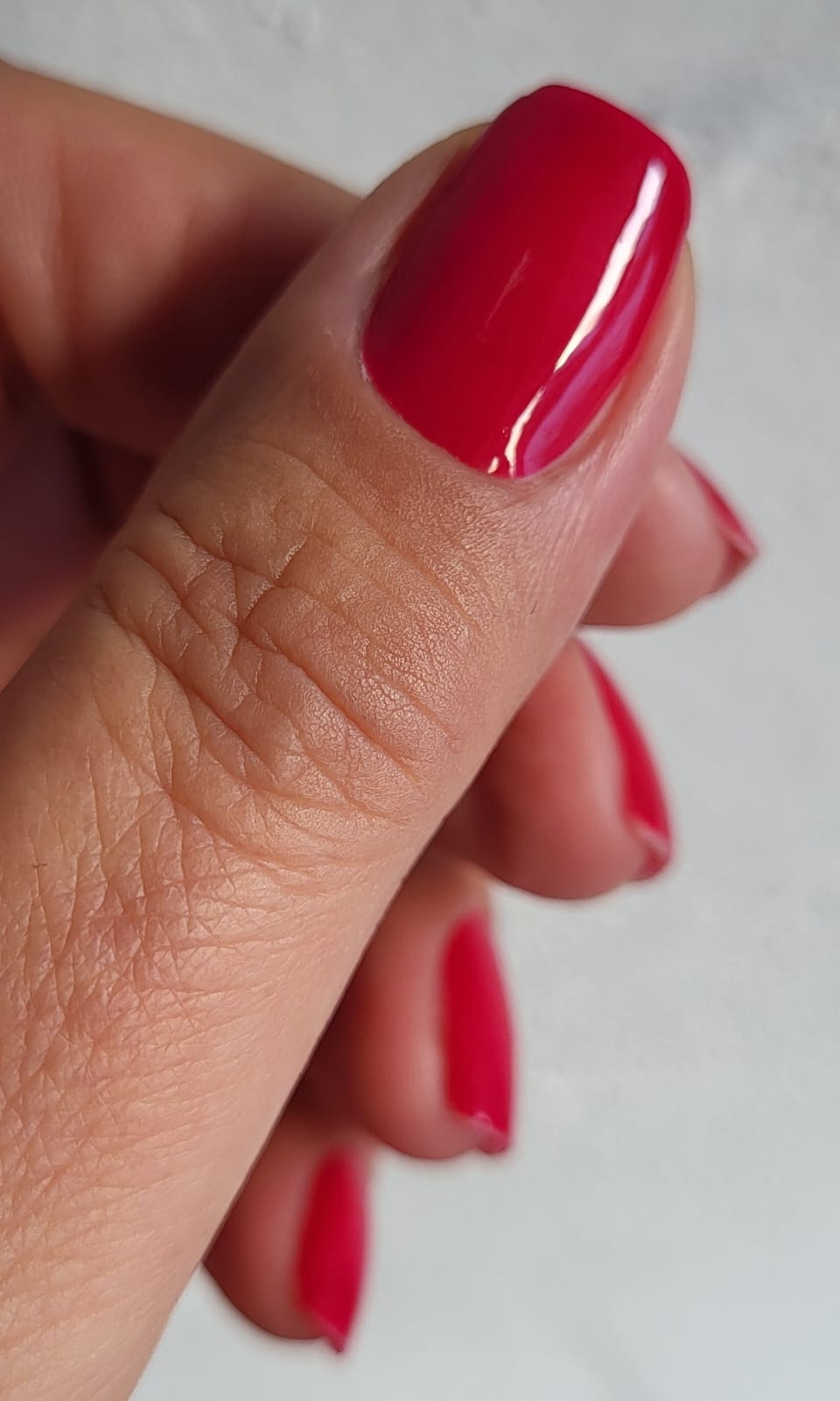 Exclusive - Erica X6718 - LIMITED - 2x14 Stück