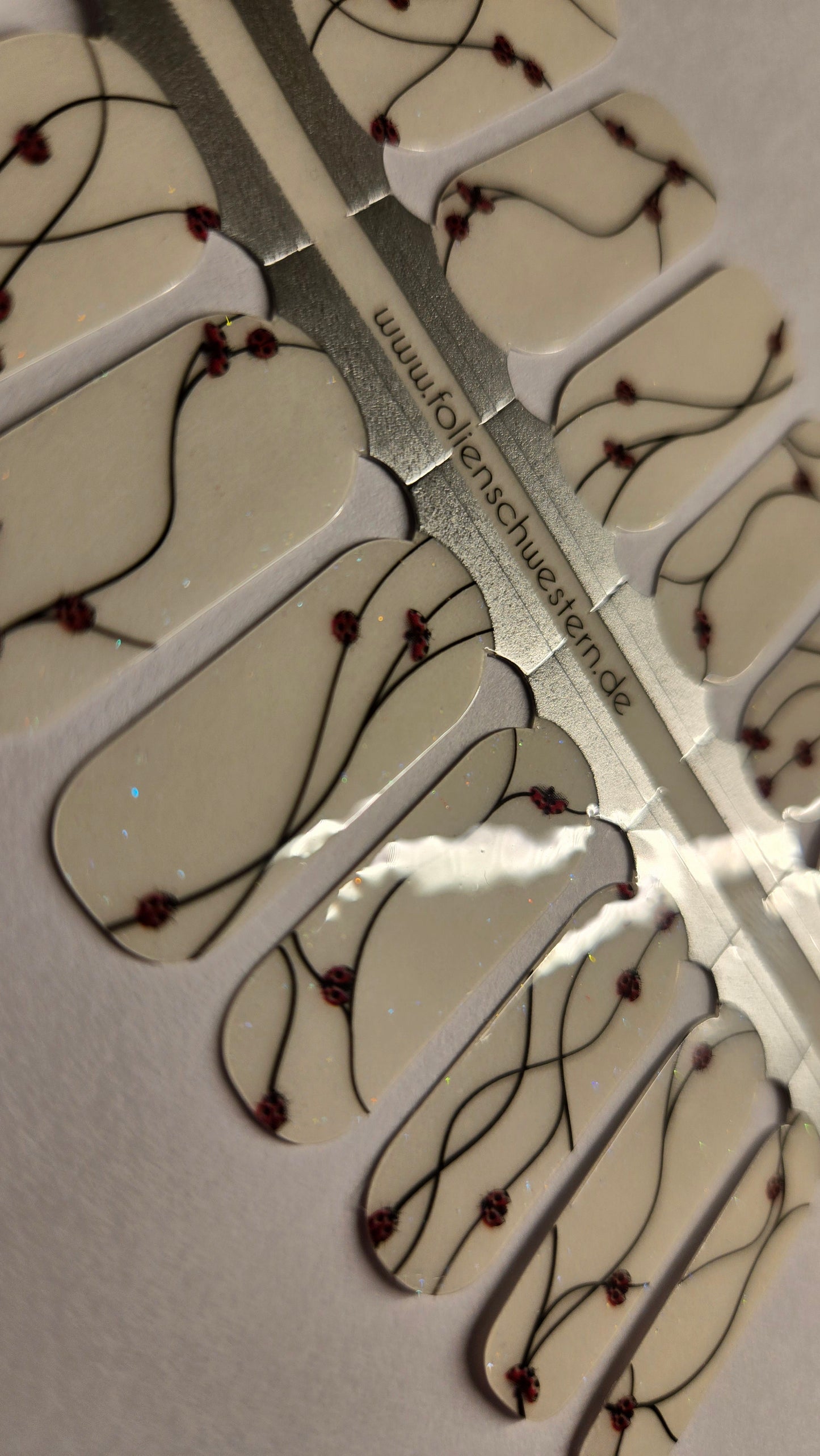 Exclusive - Ladybug (transparent) S6736 -  LIMITED!