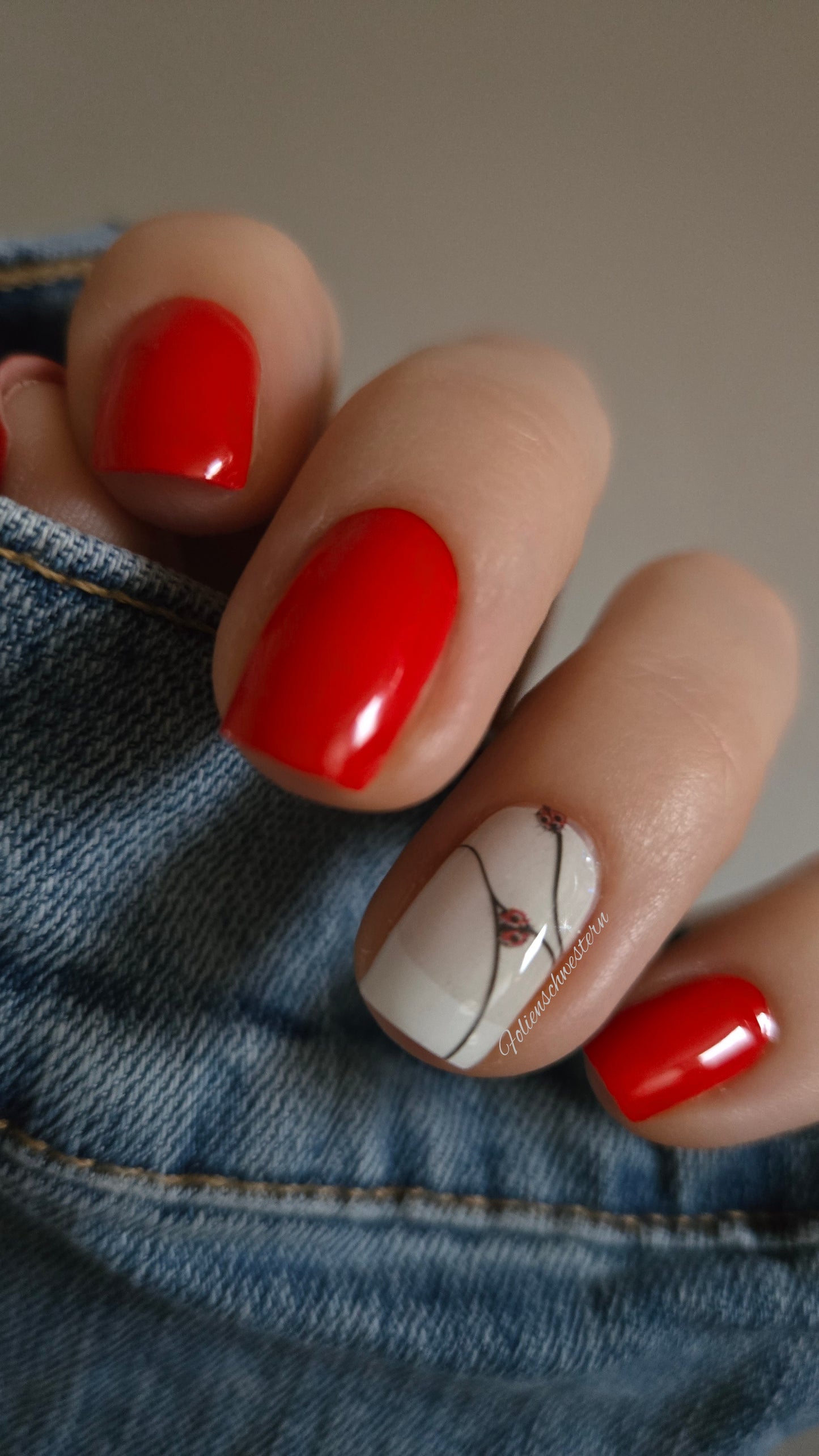 Exclusive - Ladybug (transparent) S6736 -  LIMITED!