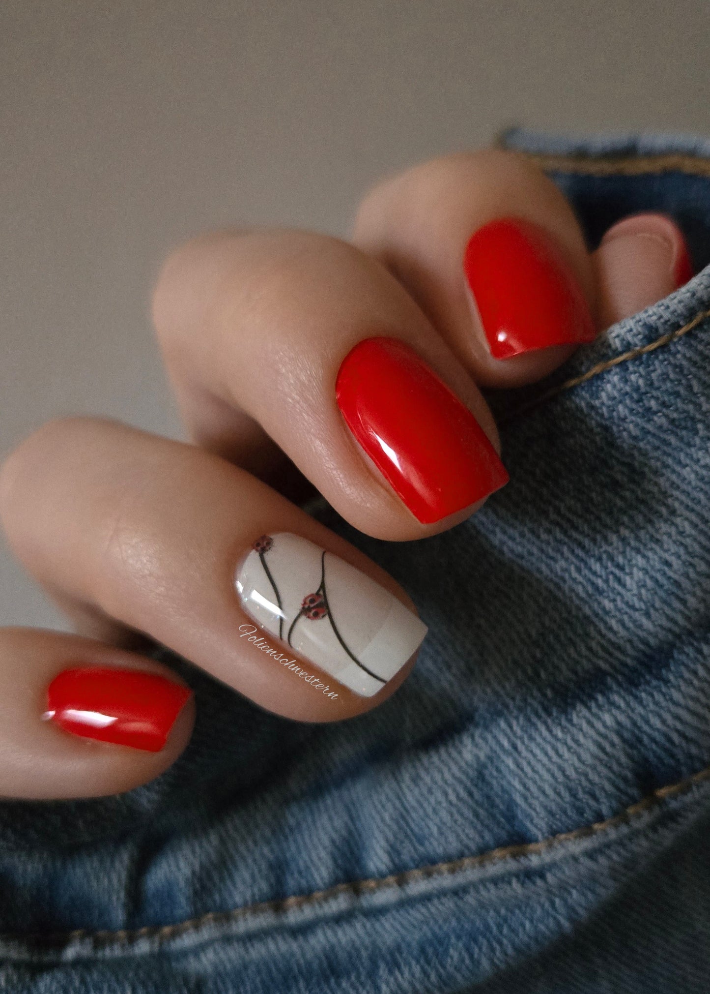 Exclusive - Ladybug (transparent) S6736 -  LIMITED!