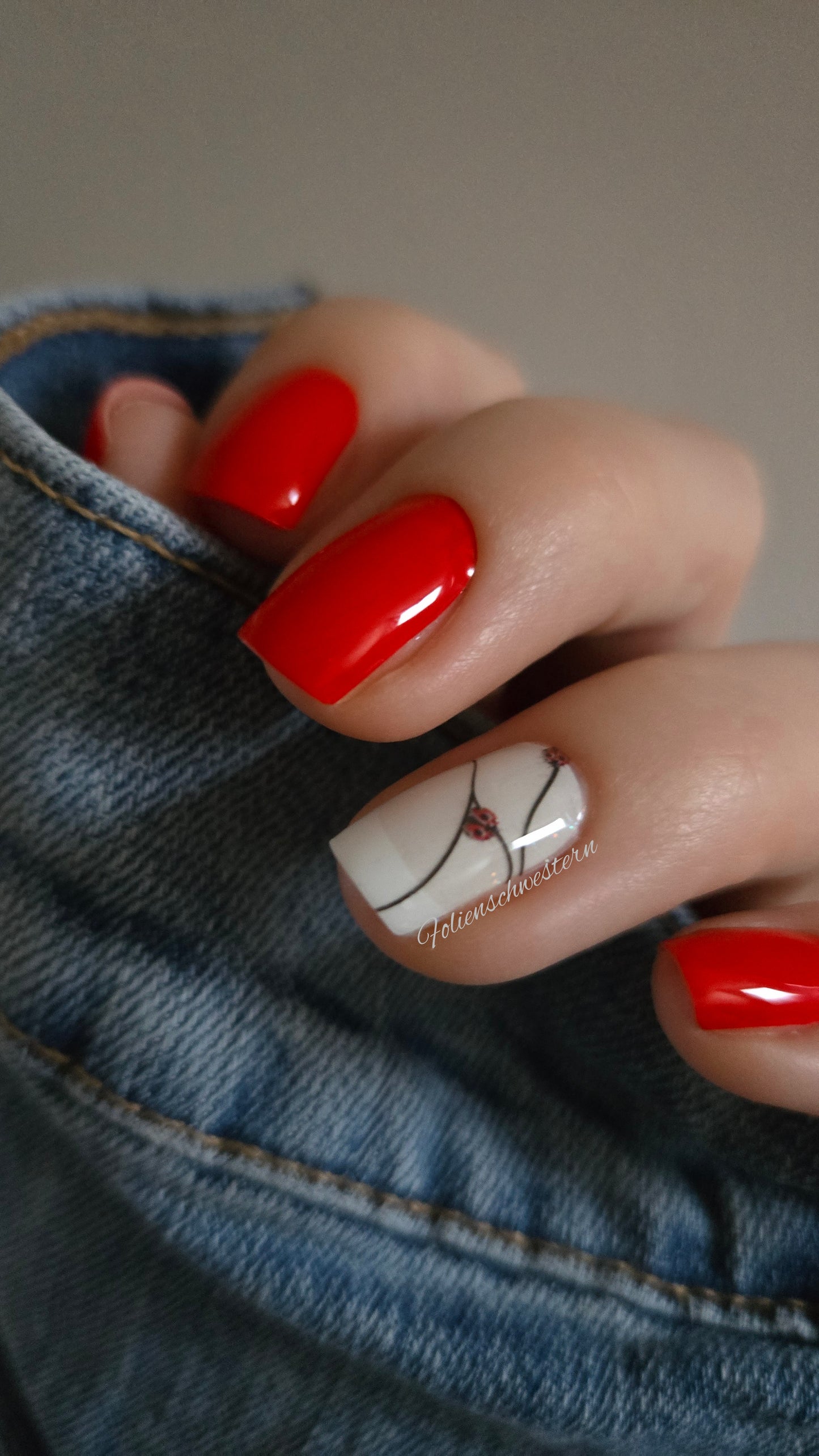 Exclusive - Ladybug (transparent) S6736 -  LIMITED!