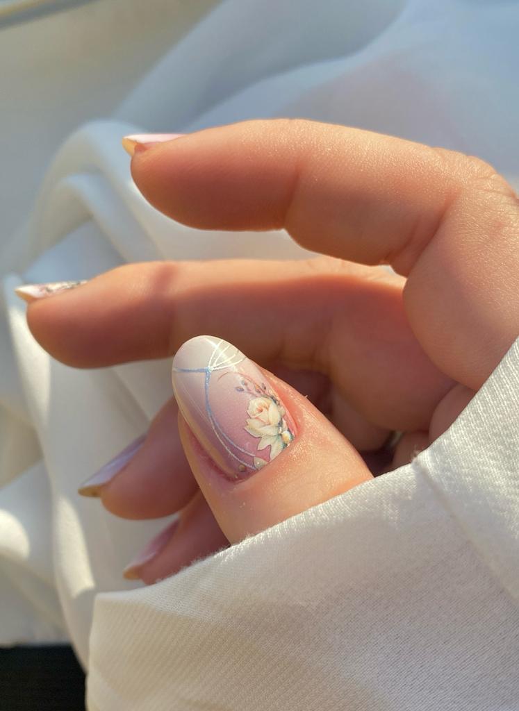 Exclusive - Orchids (transparent) S6703 -  LIMITED!