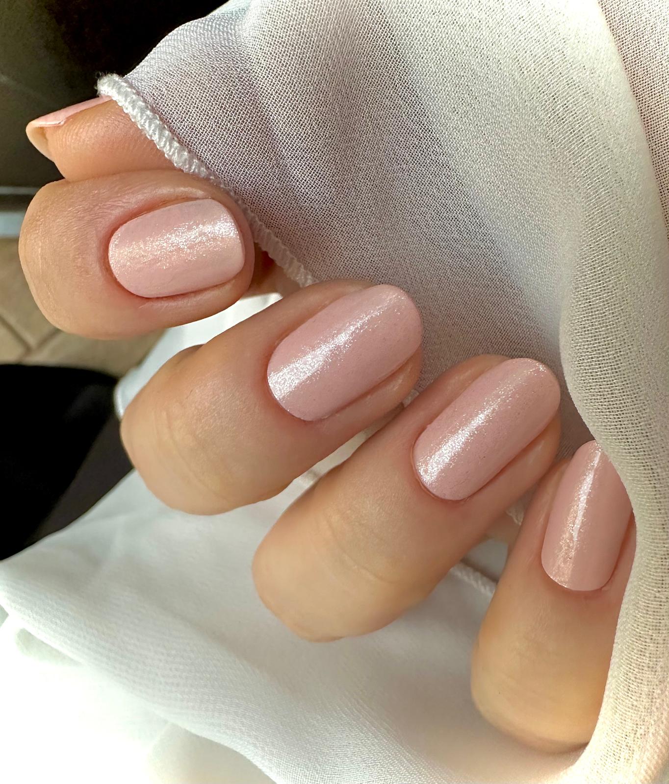 Exclusive - Rachel X6733 - LIMITED - 2x14 Stück