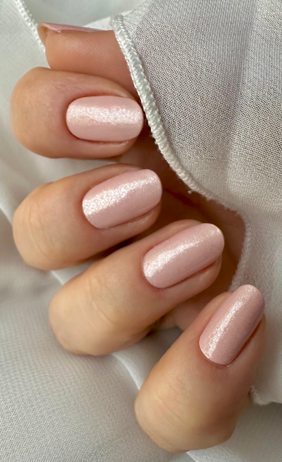 Exclusive - Rachel X6733 - LIMITED - 2x14 Stück