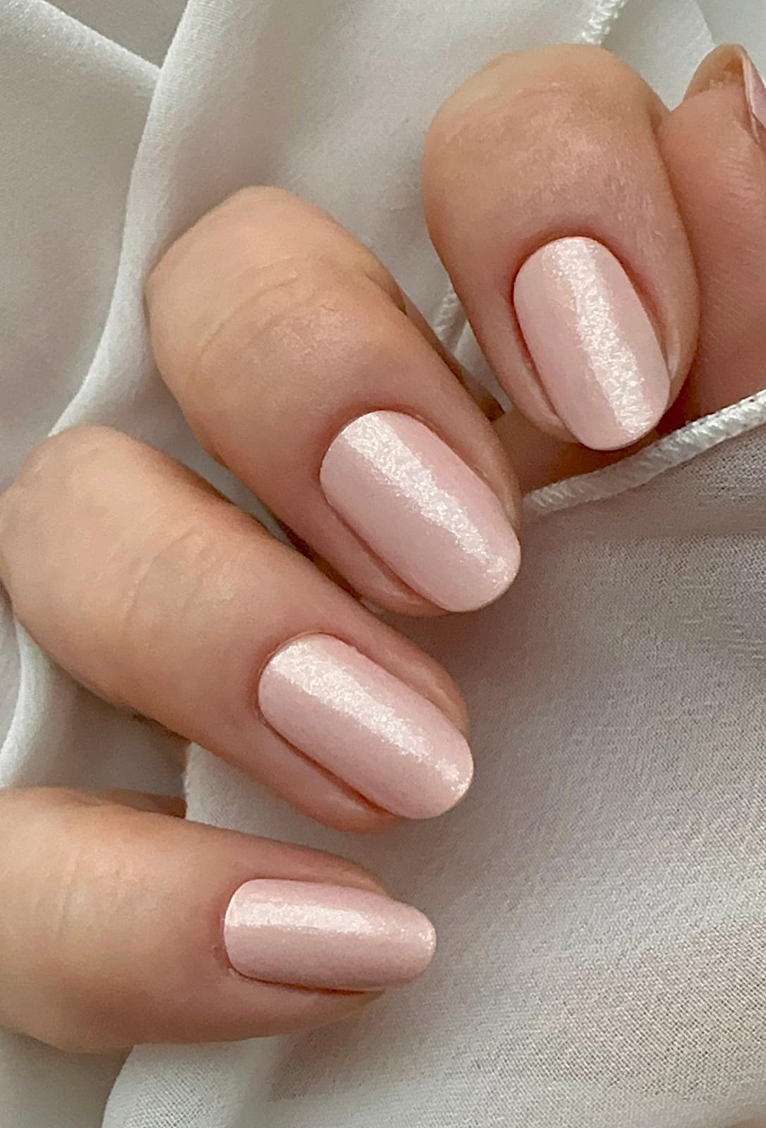 Exclusive - Rachel X6733 - LIMITED - 2x14 Stück