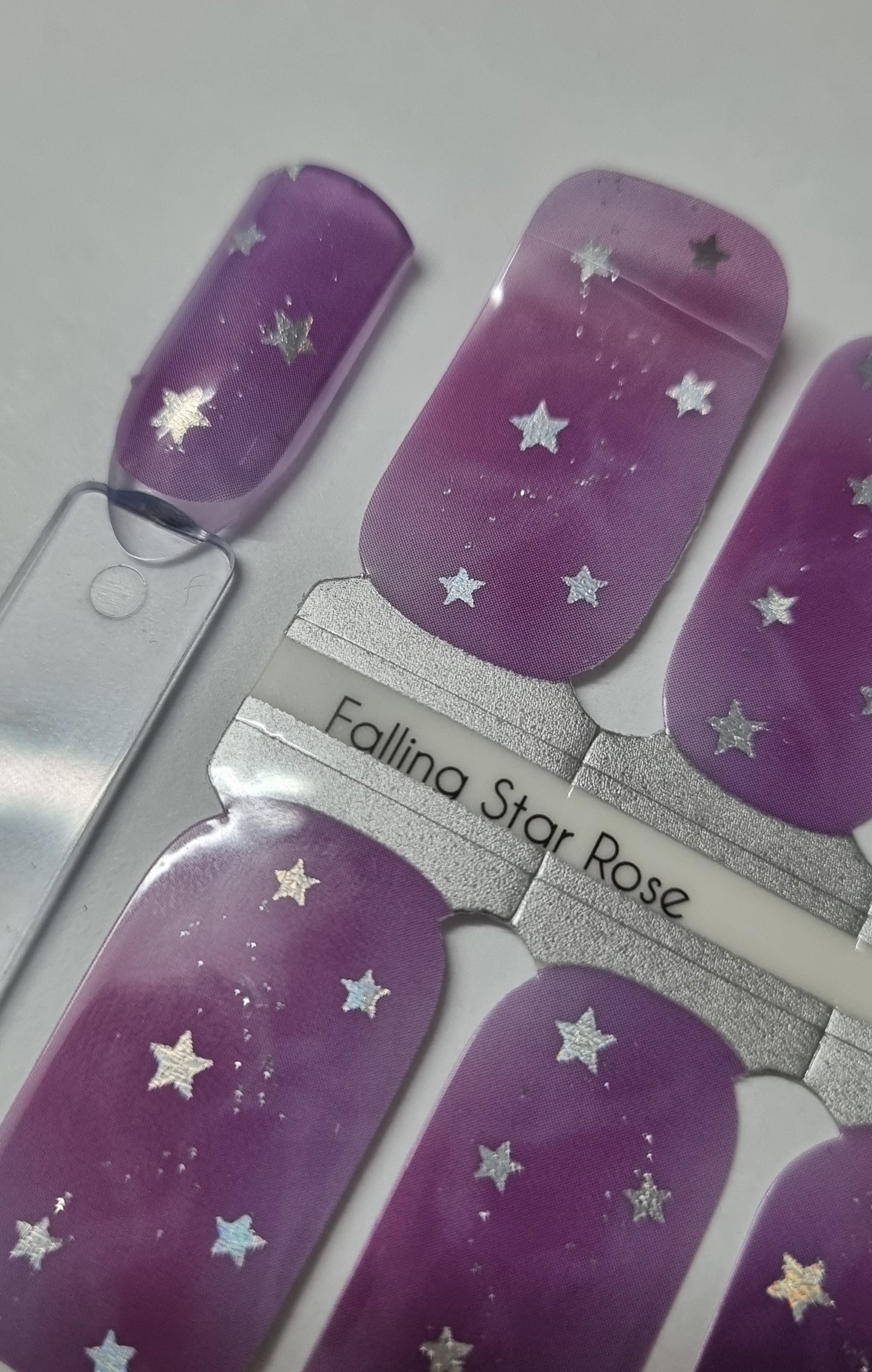 Exclusive - Falling Star Rose S6281 (semitransparent) - LIMITED!