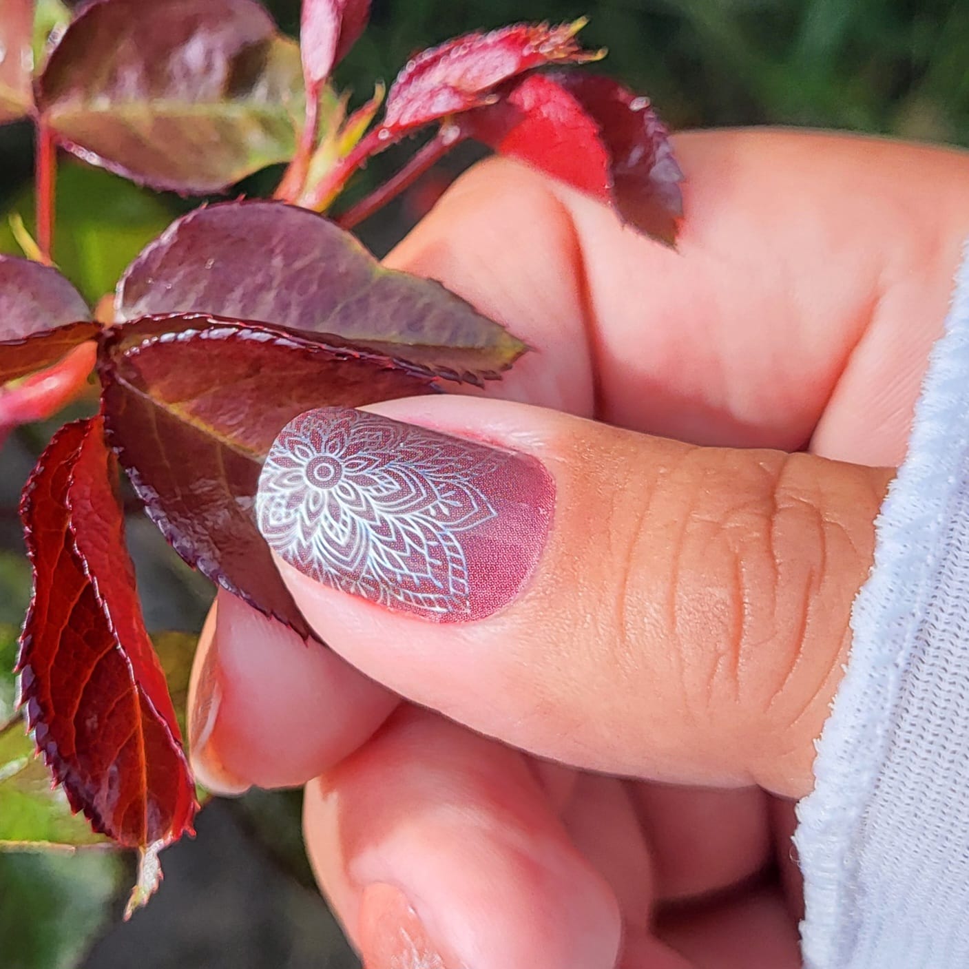 Exclusive - Crea S3810 - LIMITED!