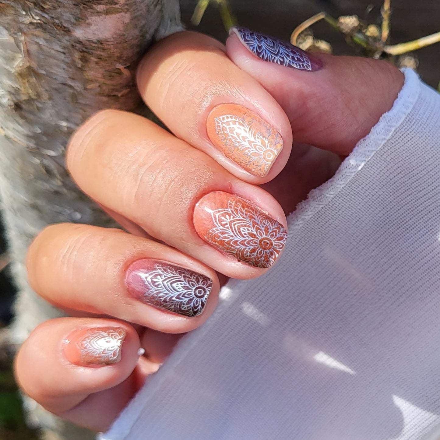 Exclusive - Crea S3810 - LIMITED!