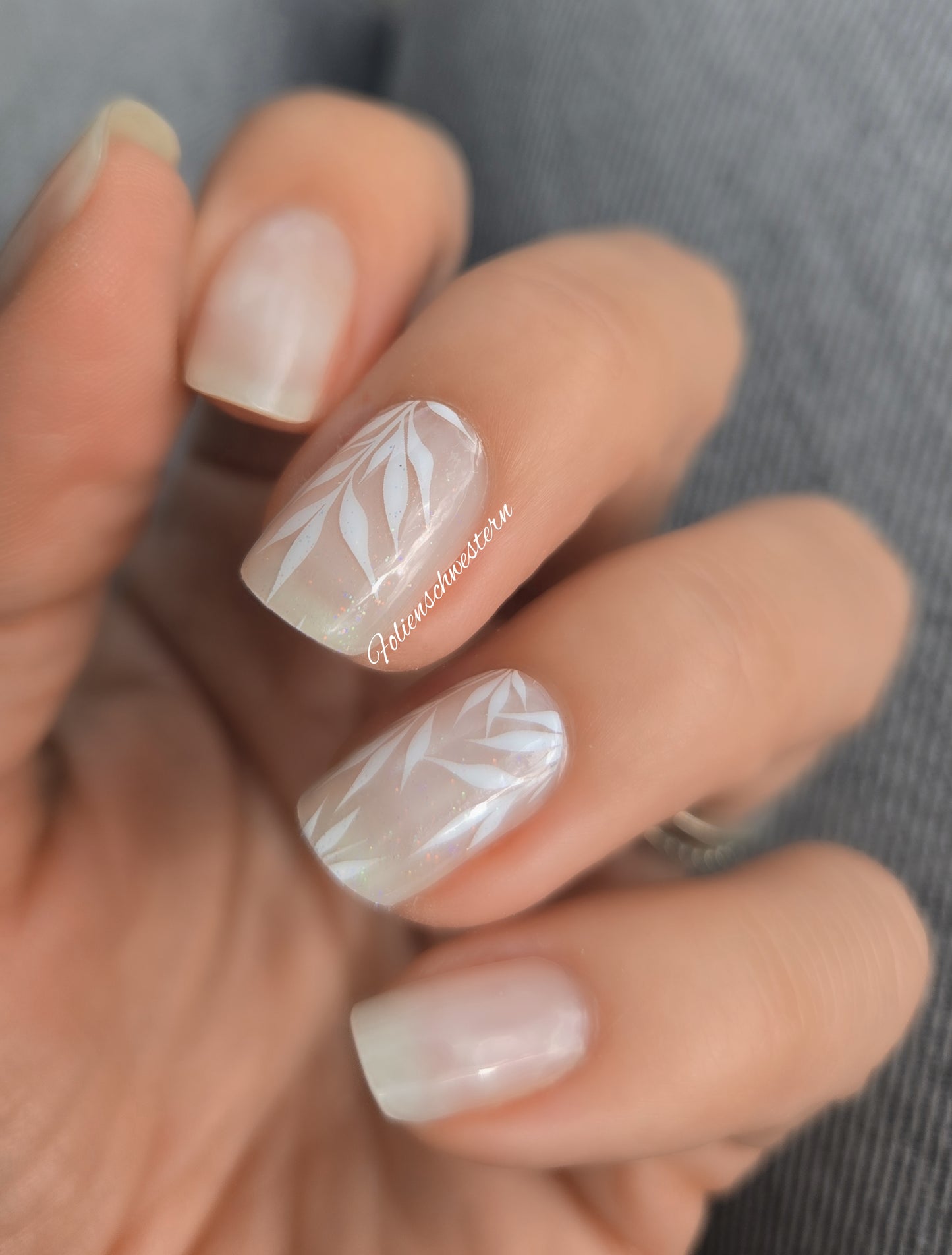 Exclusive - Boa (transparent) S1804 - LIMITED!