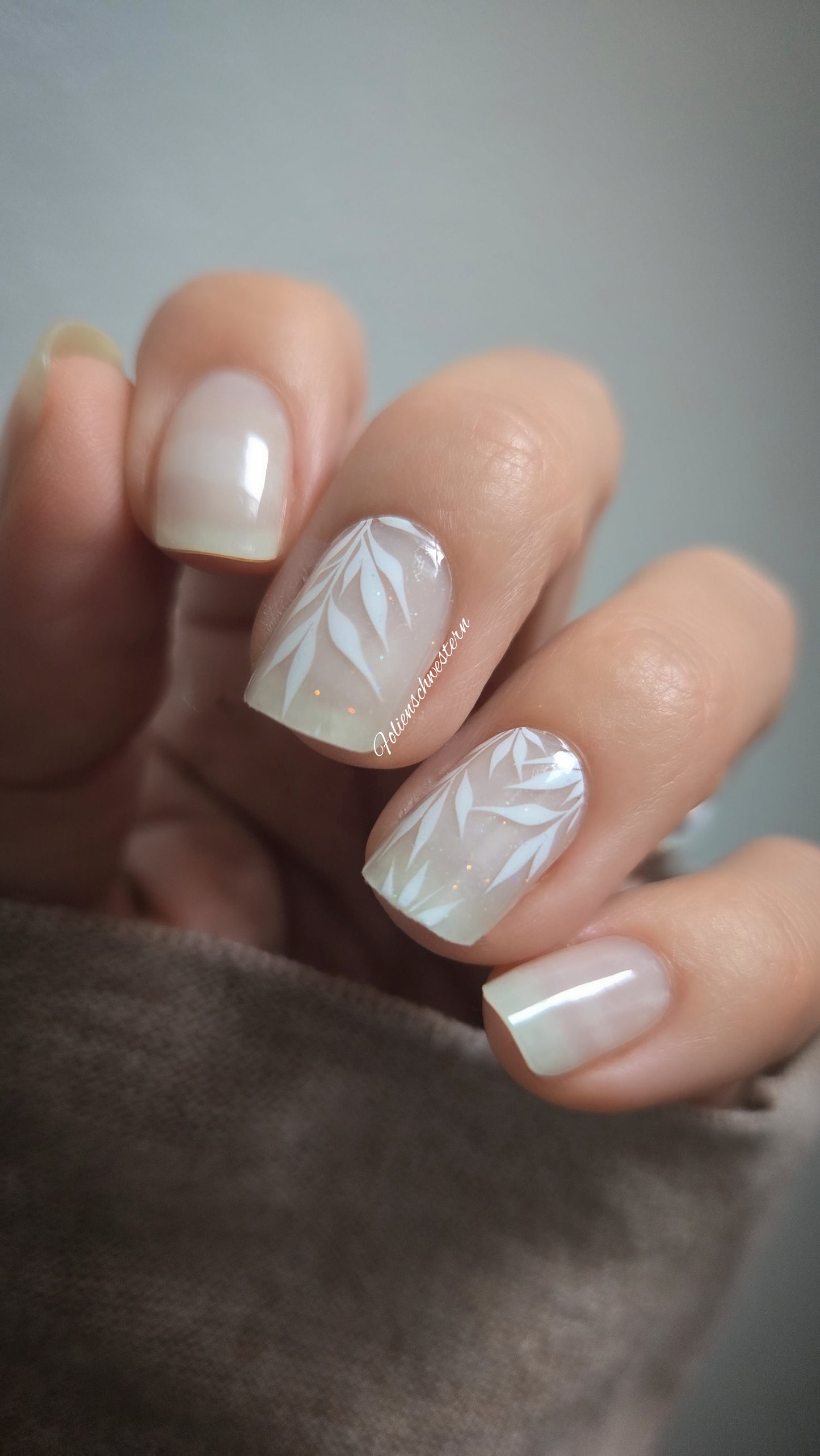 Exclusive - Boa (transparent) S1804 - LIMITED!