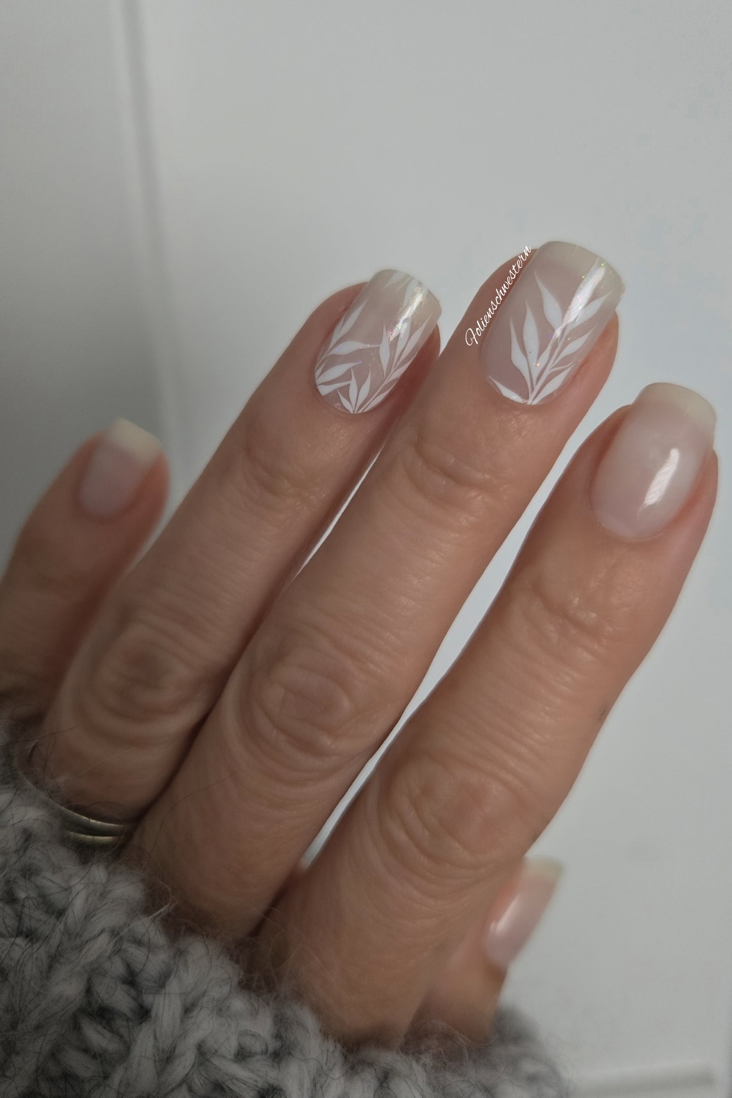 Exclusive - Boa (transparent) S1804 - LIMITED!