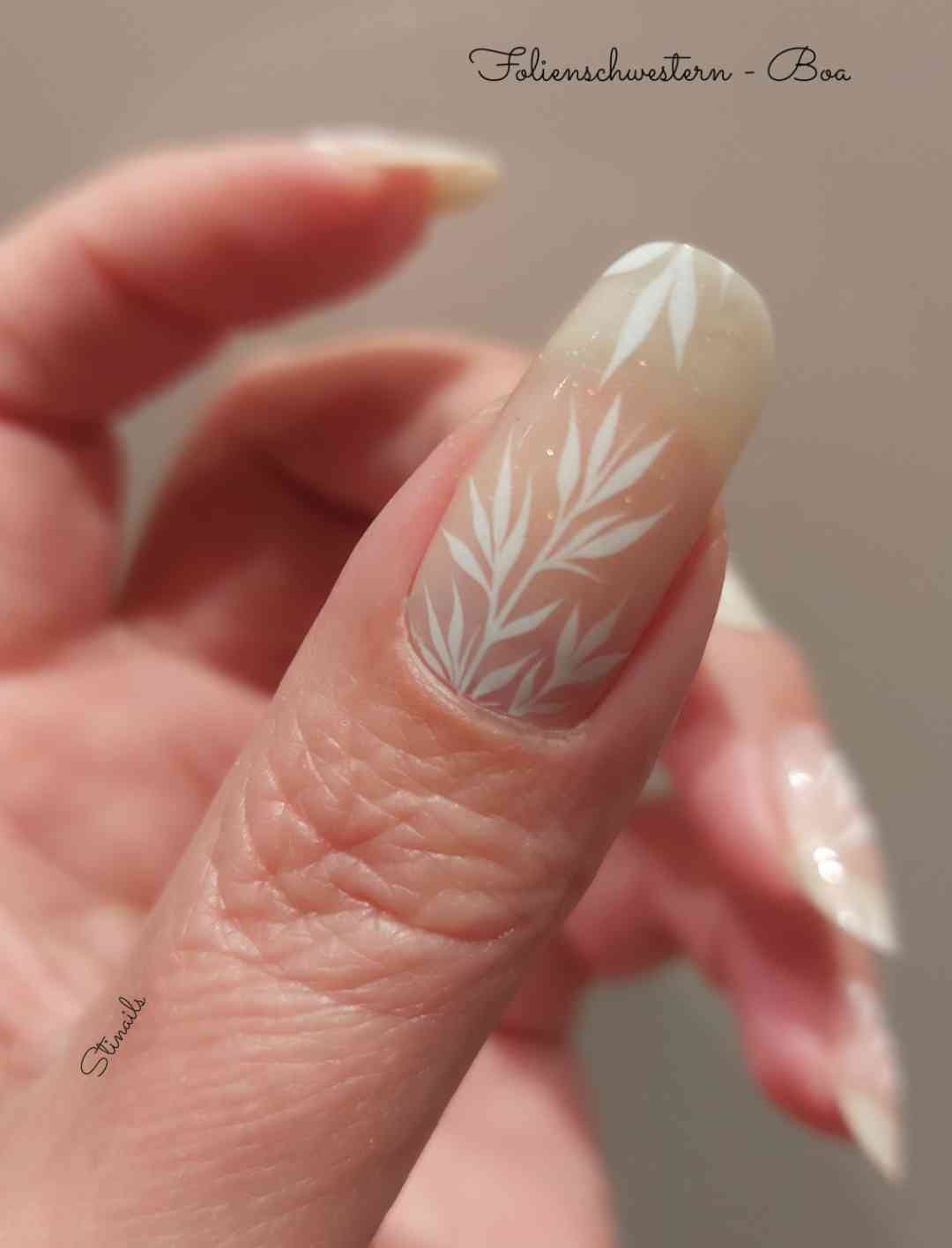 Exclusive - Boa (transparent) S1804 - LIMITED!