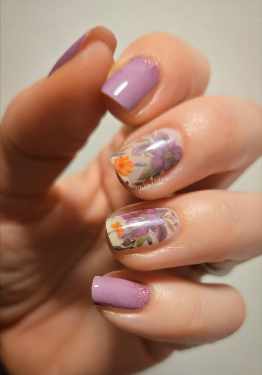 Exclusive - Nelly S6855 (transparent) - LIMITED!