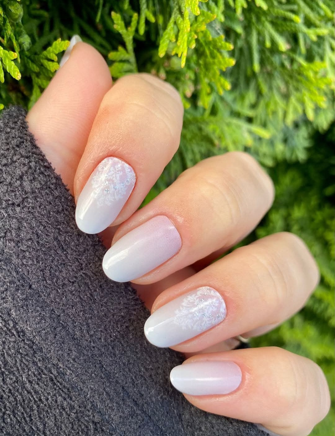 Exclusive - Royal Babyboomer S6118 - LIMITED!