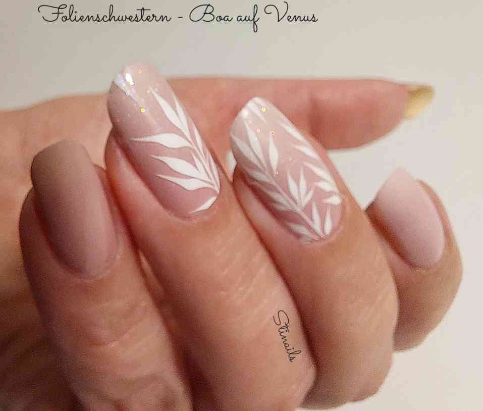 Exclusive - Boa (transparent) S1804 - LIMITED!