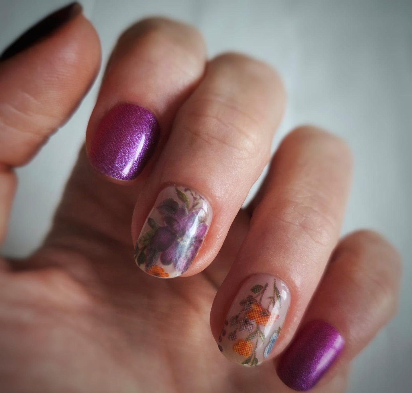 Exclusive - Nelly S6855 (transparent) - LIMITED!