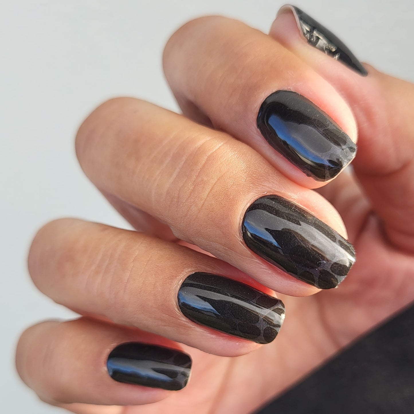 Exclusive - Onyx S6725 -  LIMITED!