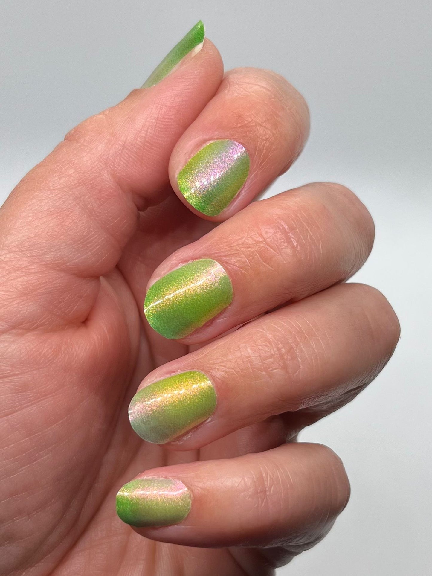 Specials - Kiwi Shine SX072
