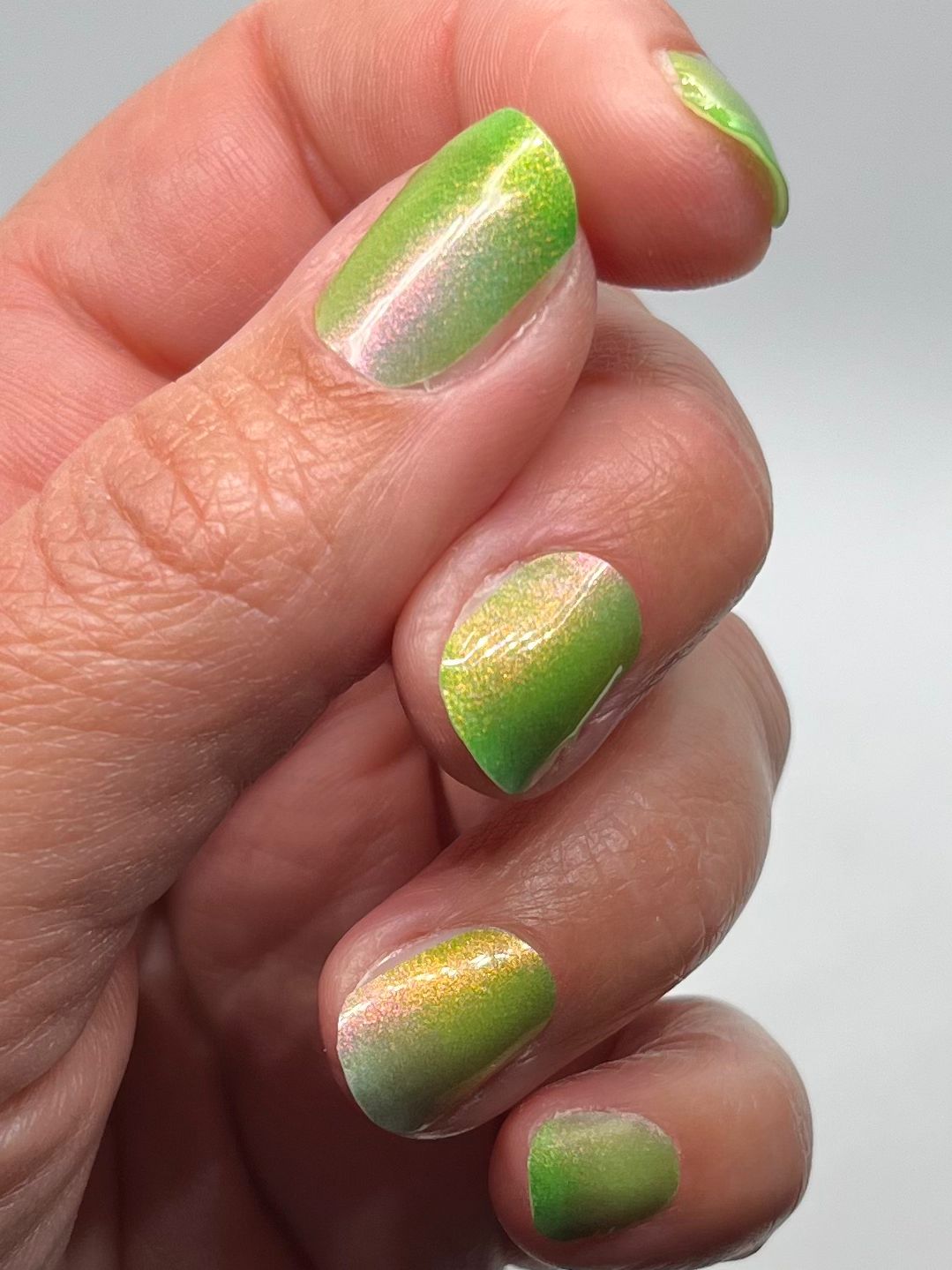 Specials - Kiwi Shine SX072