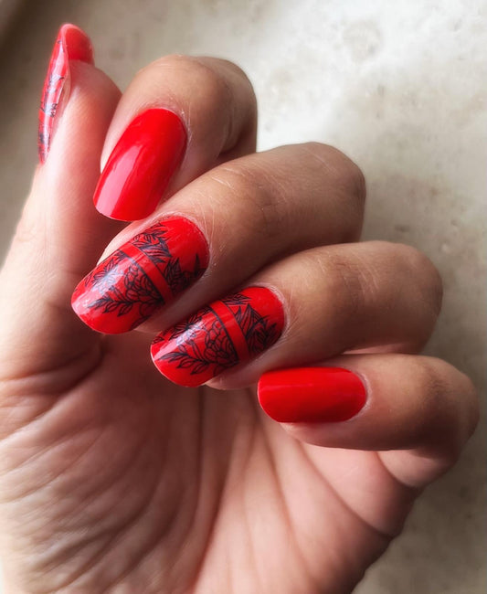 Exclusive - Lacare S1797 (transparent) - LIMITED!