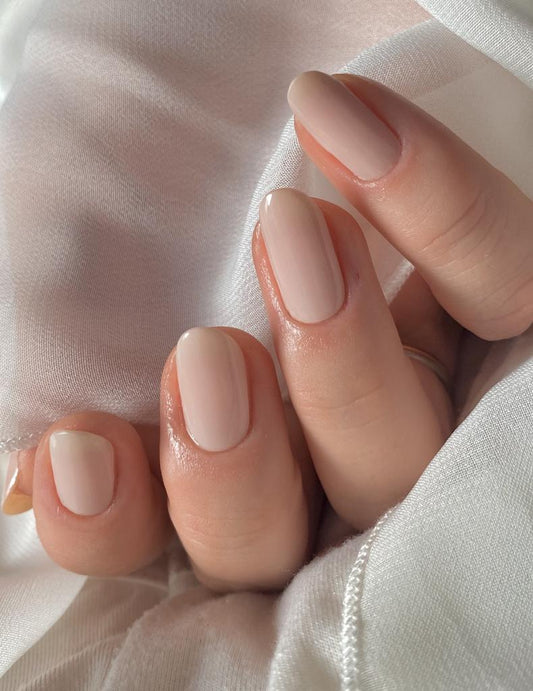 Exclusive - Monica (Leicht Semitransparent) X6835 - LIMITED - 2x14 Stück