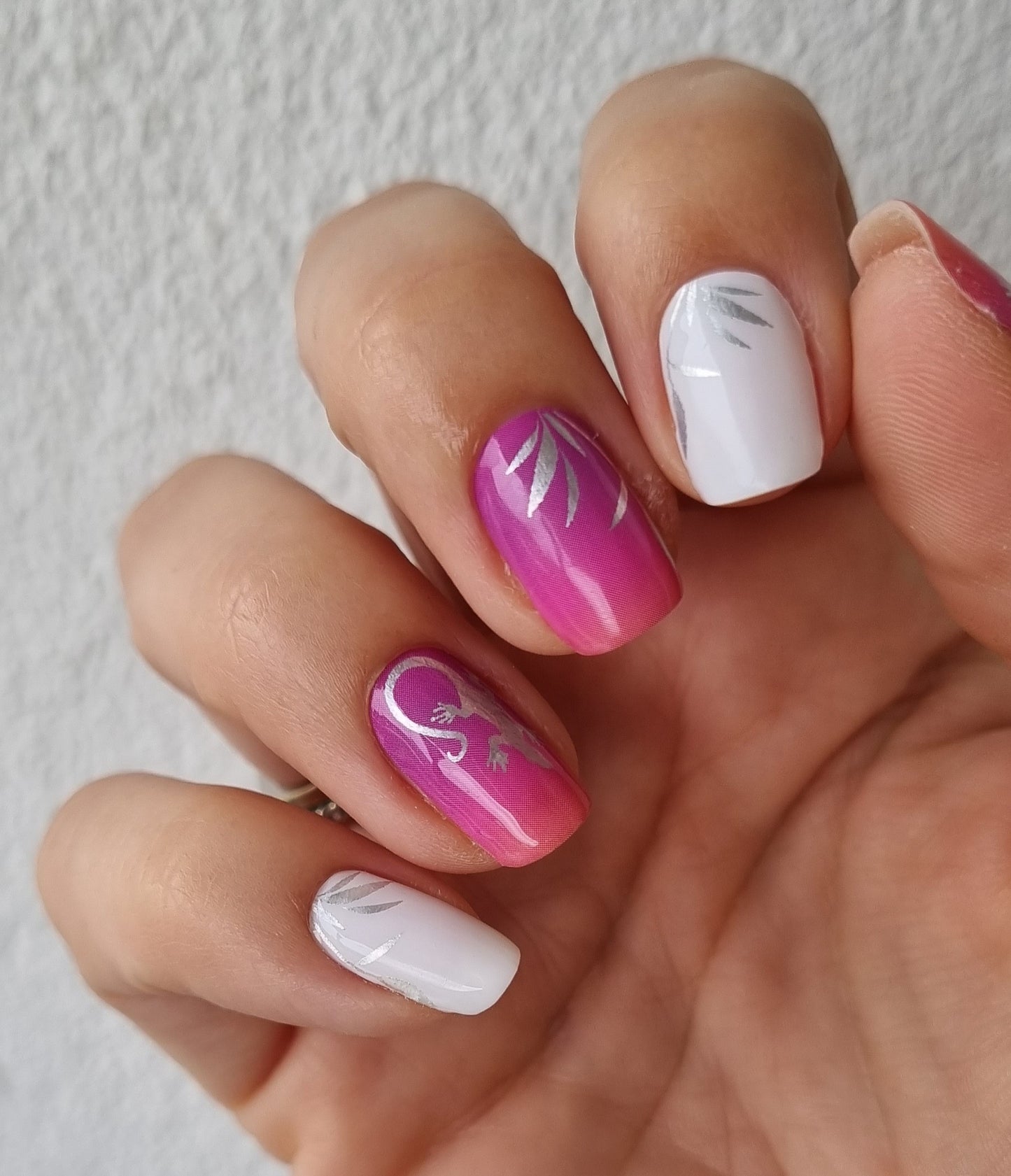 Exclusive - Salamander Sunset S6127 - LIMITED!