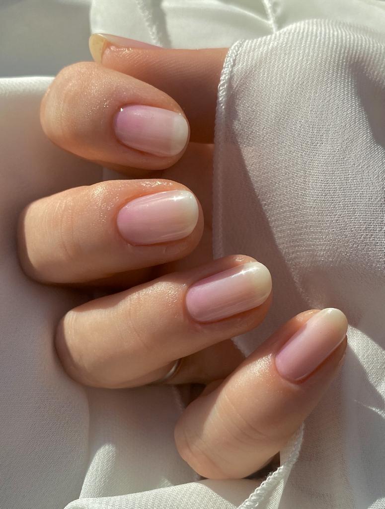 Exclusive - Rose Boomer (Semi-/Transparent) X6509 - LIMITED - 2x14 Stück