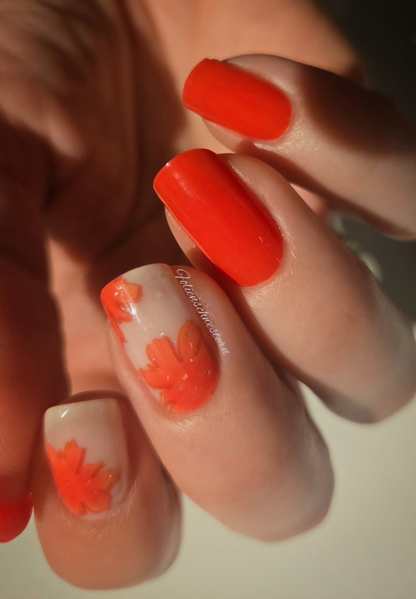 Exclusive - Summer 26 - Cora Lia S6825 (transparent) - LIMITED!