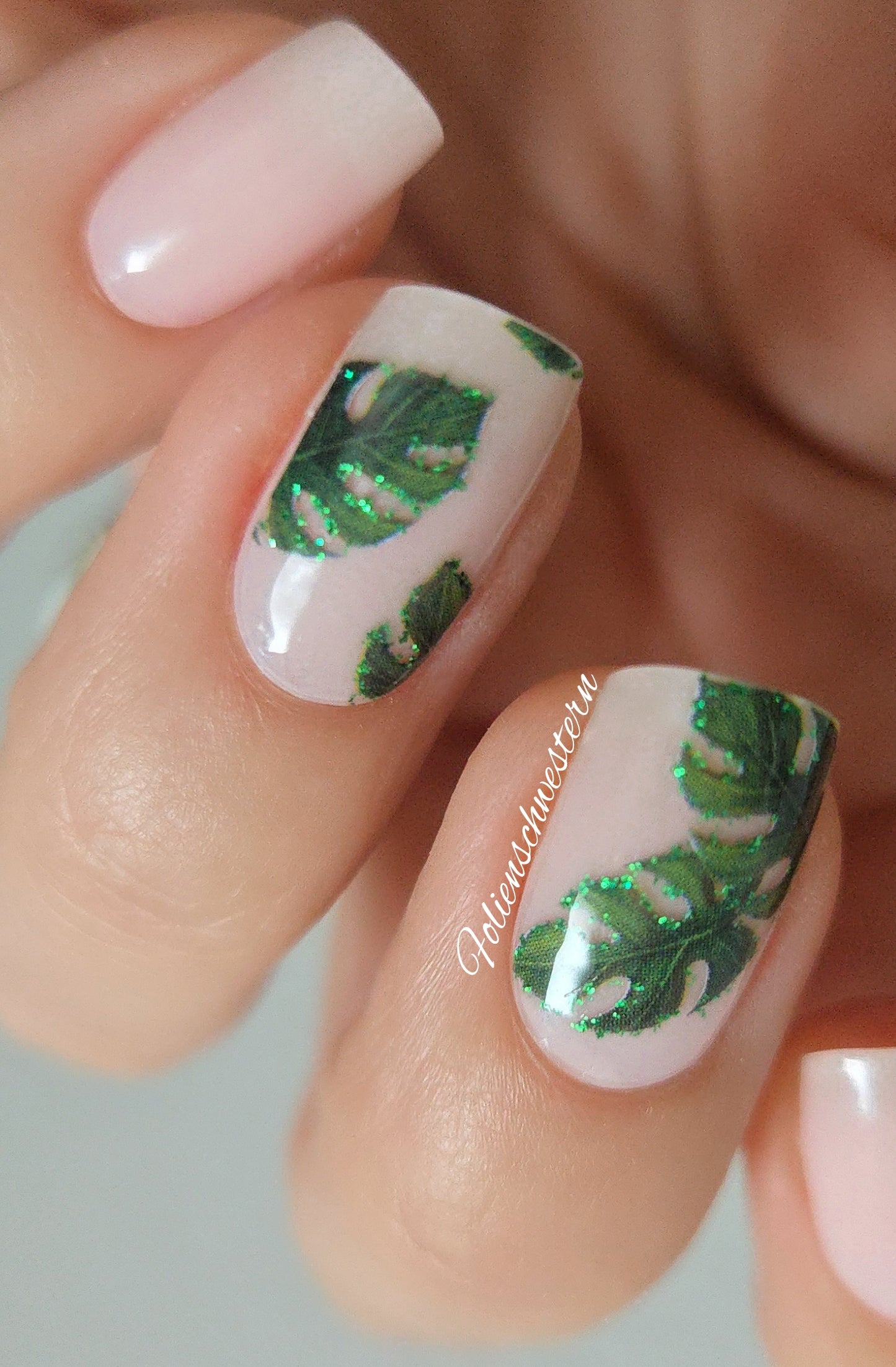 Exclusive - Summer 26 - The Leaf S6820 (transparent) - LIMITED!