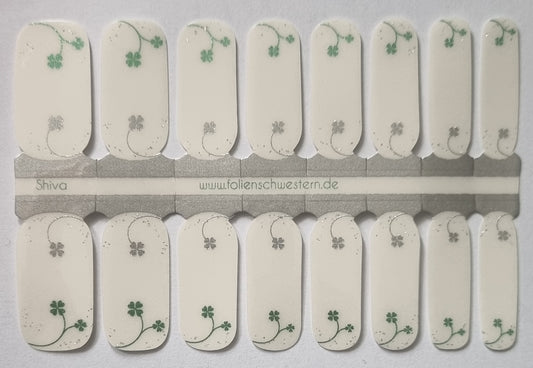 Exclusive - Shiva S6400 (transparent) - LIMITED!