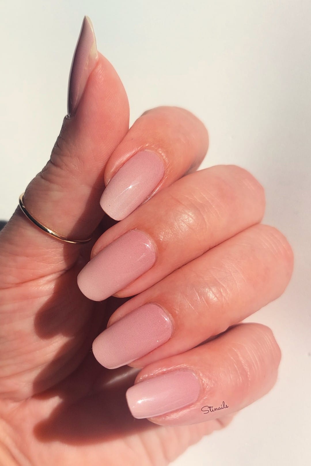 Exclusive - Venus S6459 - LIMITED!