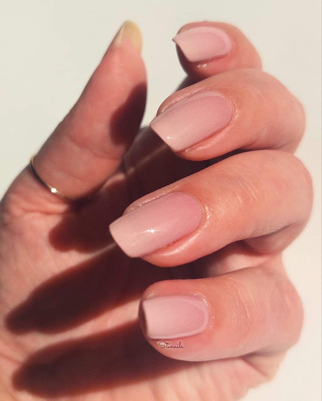 Exclusive - Venus S6459 - LIMITED!