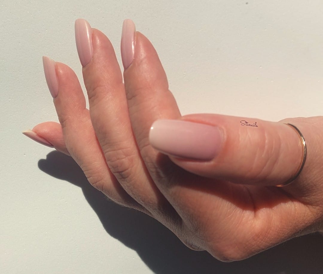 Exclusive - Venus S6459 - LIMITED!