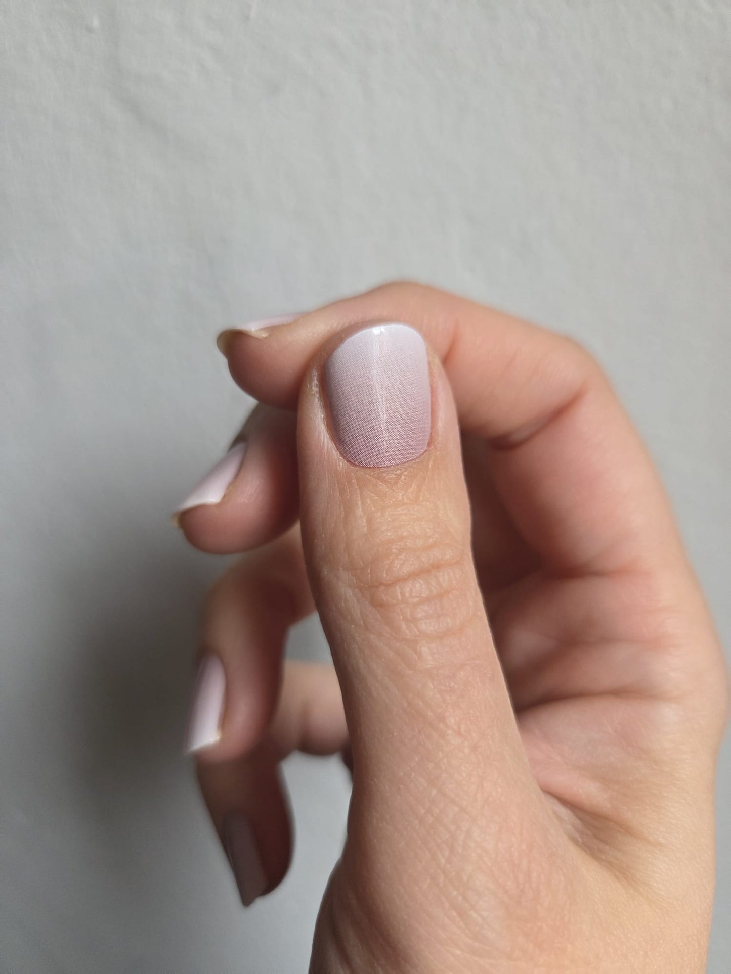 Exclusive - The Babyboomer New Edition S6494 - LIMITED!